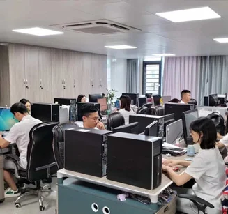 project team