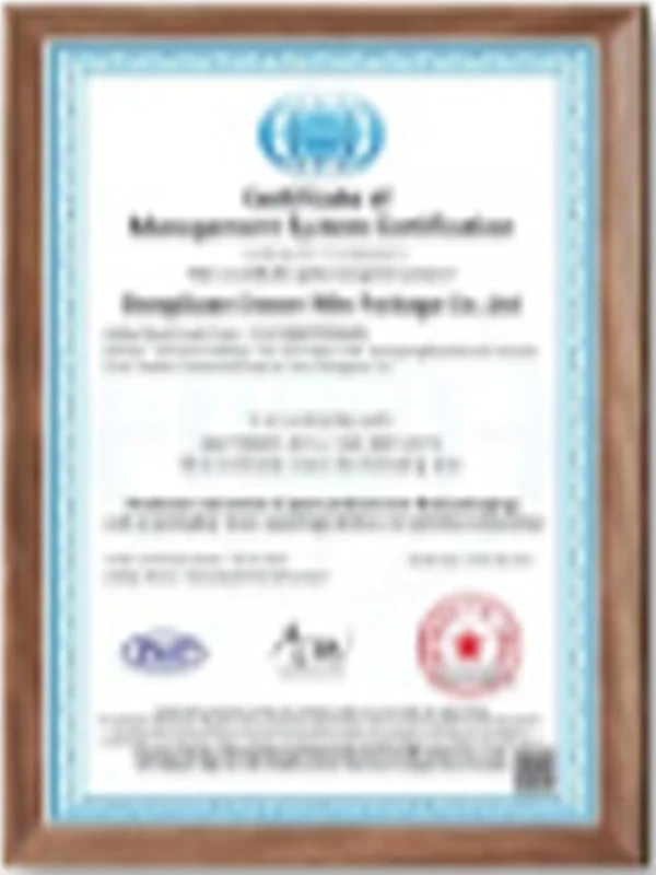 ISO9001